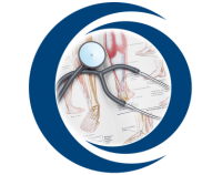Radiology Frequently Asked Questions FAQs